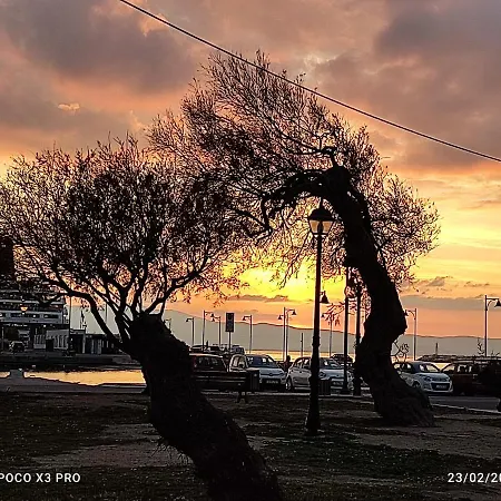 Ocean Rose I - Old Naxos Town * Naxos City