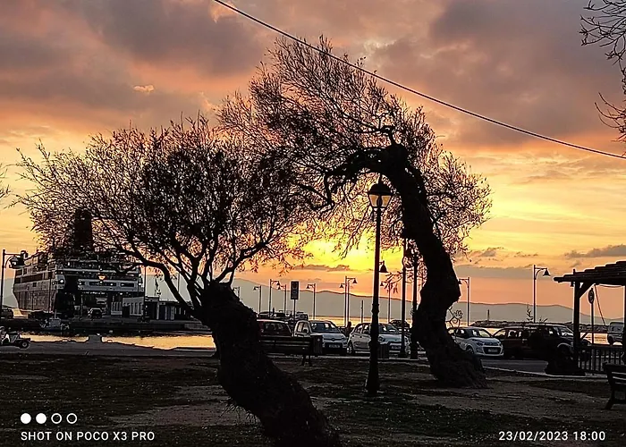 Ocean Rose I - Old Naxos Town * Naxos City